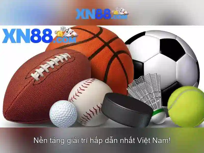 Dịch vụ và chức năng của xn88