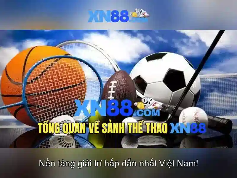 An toàn và trách nhiệm khi tham gia\n<p style=