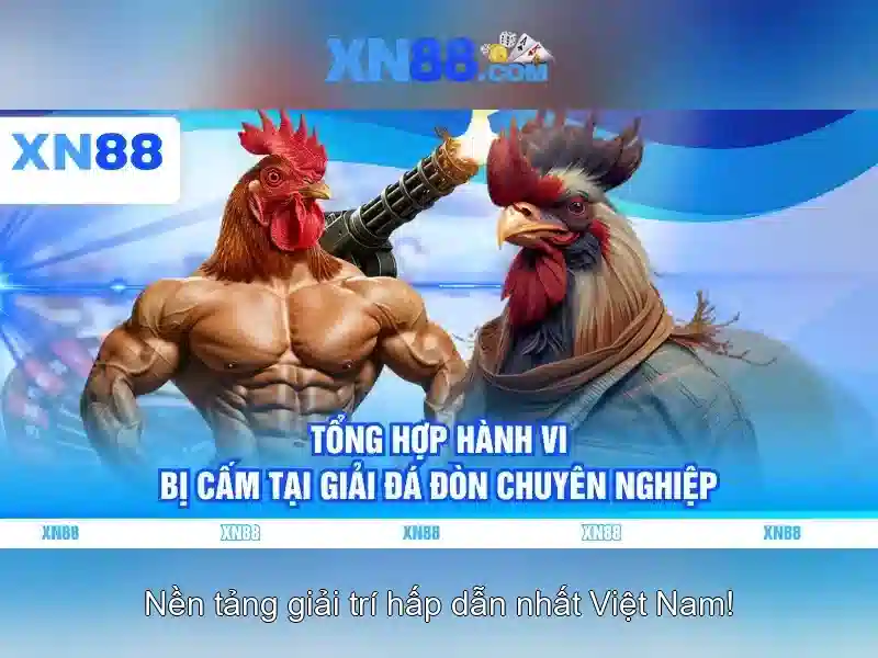 Đặc điểm nổi bật của xn88
