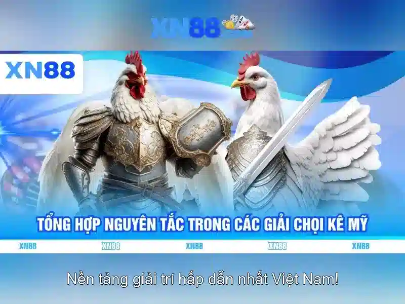 XN88: Tổng quan về nền tảng đặt cược trực tuyến