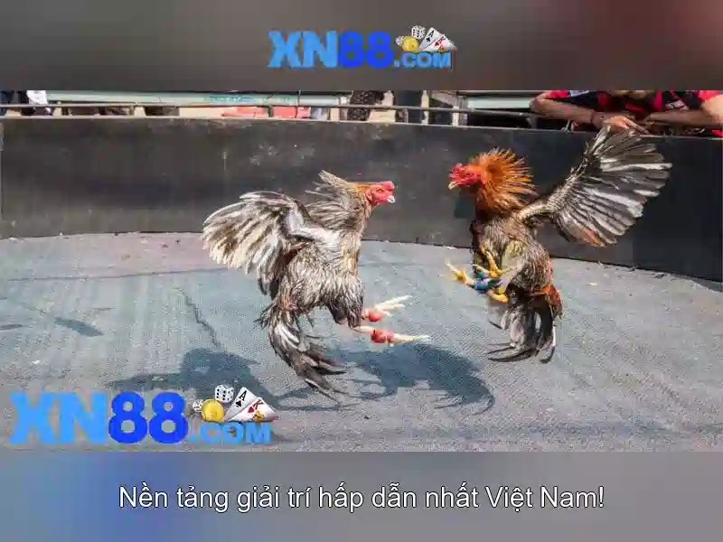 An toàn và bảo mật