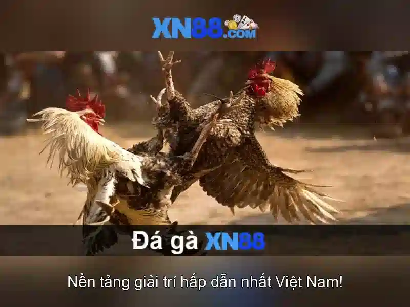 Lịch sử và sự phát triển của xn88