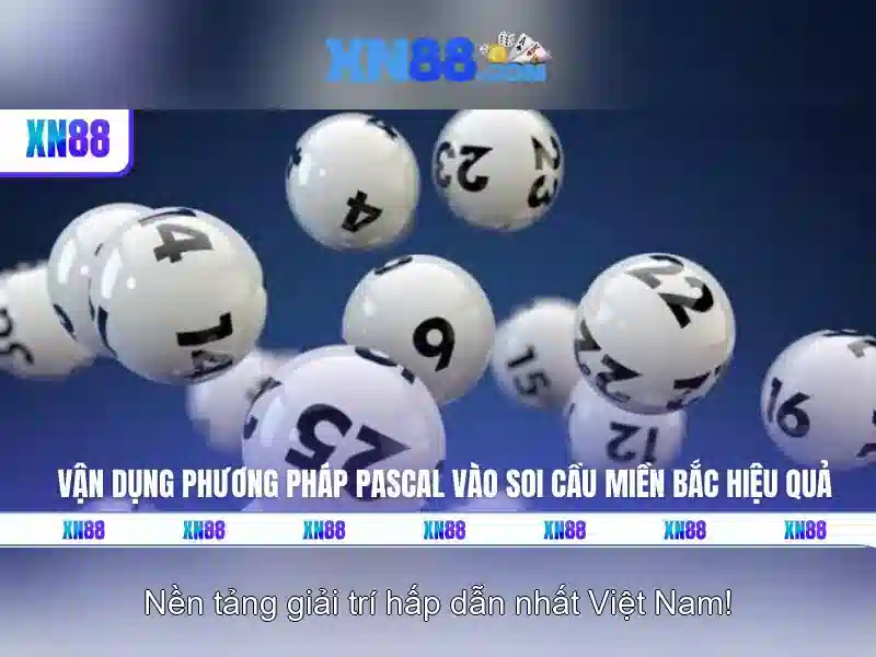 Các dịch vụ nổi bật