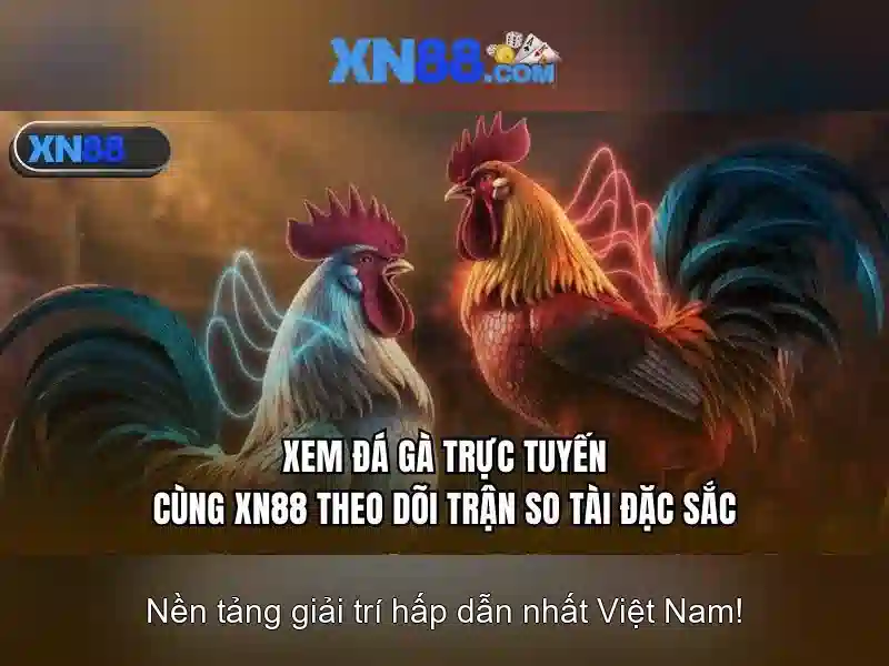 Lợi thế khi tham gia xn88