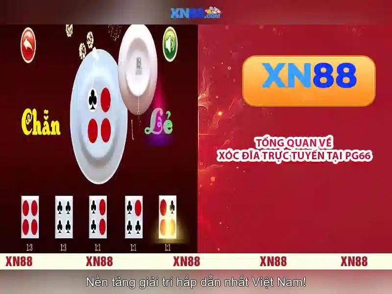 xn88 là gì và tại sao nổi bật