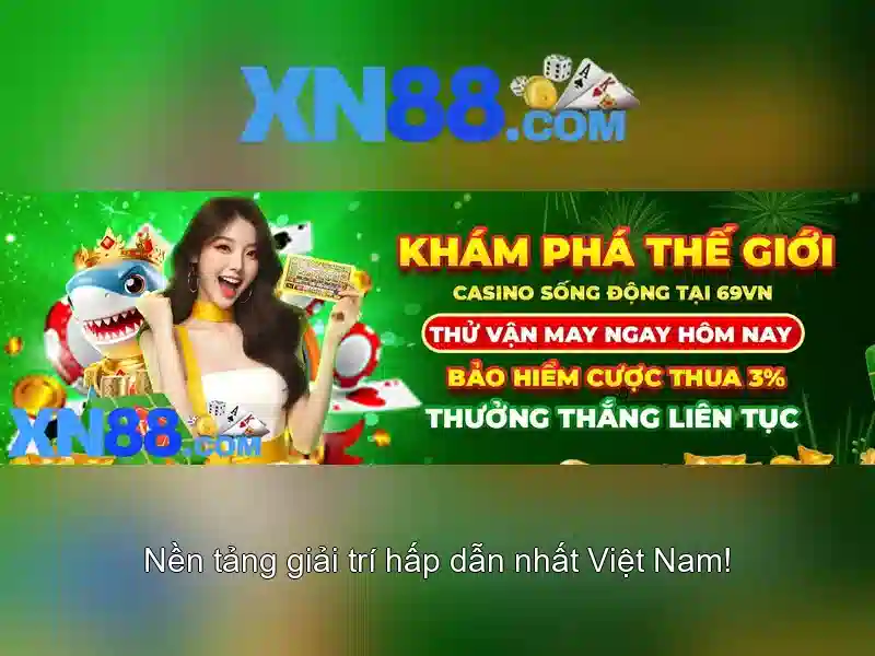 Trải nghiệm người dùng và phản hồi từ cộng đồng