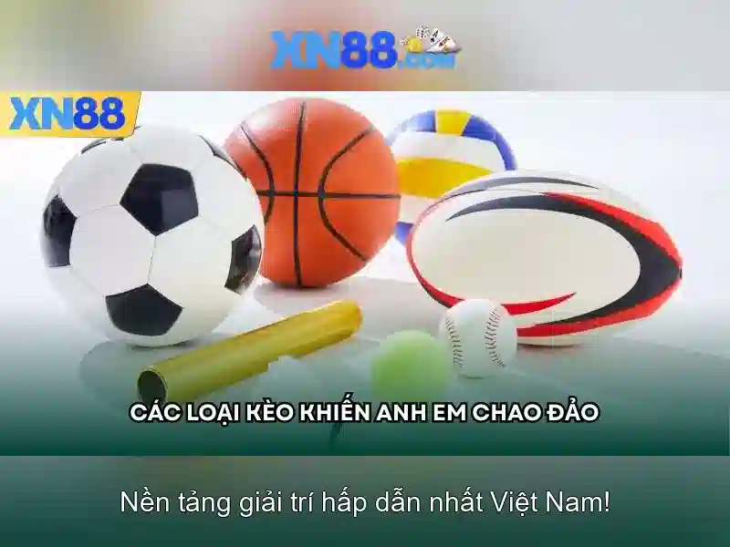 Hướng dẫn bắt đầu