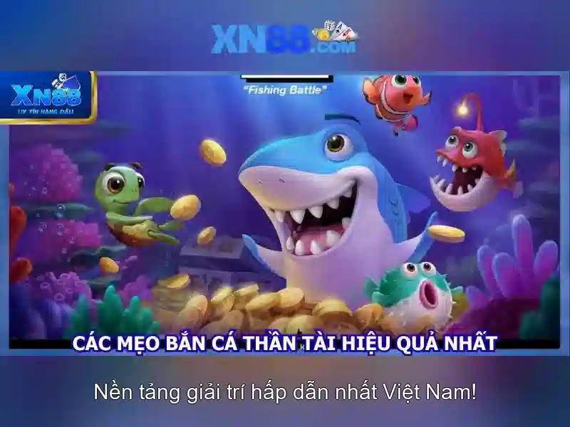 Giao diện người dùng và trải nghiệm