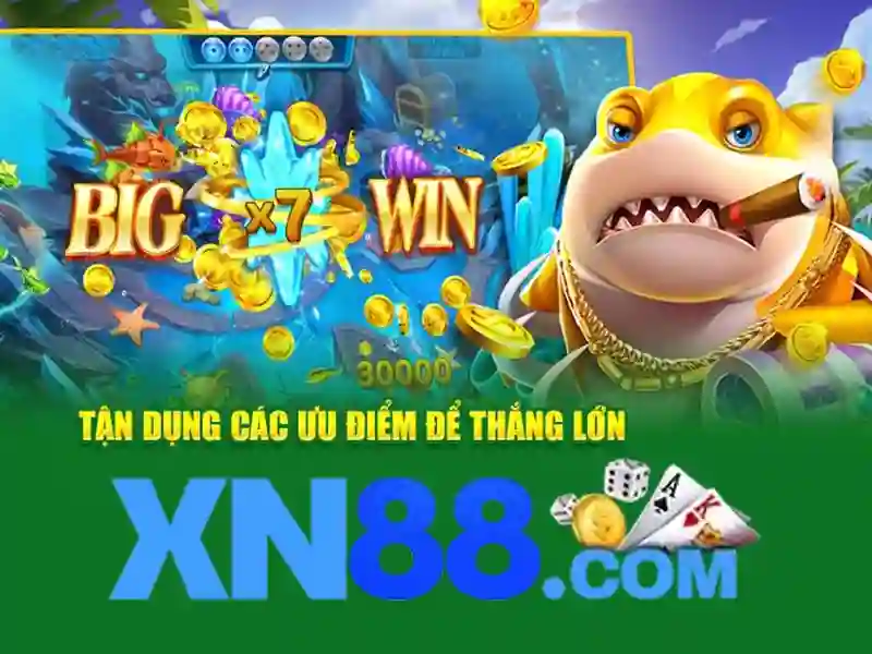  Sản phẩm và dịch vụ chính: ứng dụng thực tiễn của app xn88